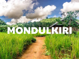 từ Siem Reap đến Mondulkiri Key phụ: tour Mondulkiri cao nguyên Mondulkiri kinh nghiệm phượt Mondulkiri tour du lịch đi Mondulkiri