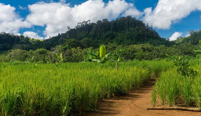 từ Siem Reap đến Mondulkiri Key phụ: tour Mondulkiri cao nguyên Mondulkiri kinh nghiệm phượt Mondulkiri tour du lịch đi Mondulkiri