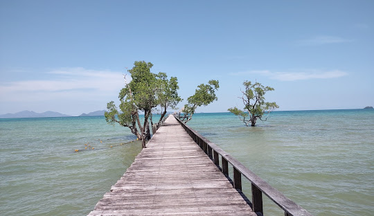 Cinnamon Boardwalk