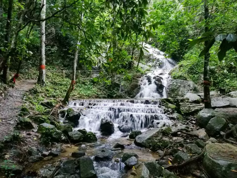 xe bus đi chiang mai Key phụ: từ Chiang Mai đến làng Maekampong đặt vé xe buýt ở thái lan