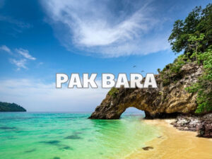 pak bara