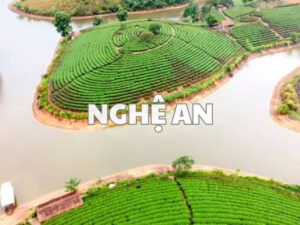 Nghệ an