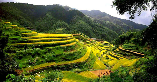 từ manila cubao đến sagada đặt vé xe ở philippines từ cubao đến sagada bao lâu du lịch sagada tự túc