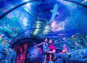 Vé xe buýt từ Kuala Lumpur đi đến công viên Legoland: du lịch bụi ở Malaysia