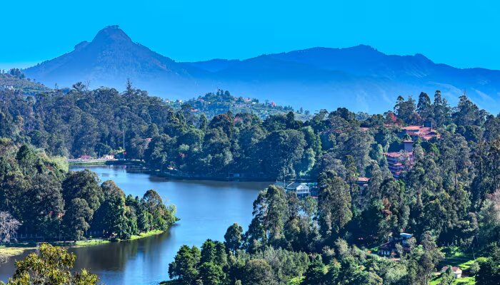 Kinh nghiệm du lịch từ Chennai đến Kodaikanal: cách đi, phương tiện, địa điểm tham quan