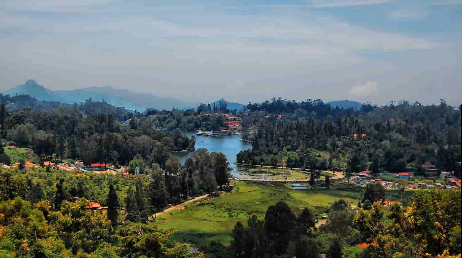Kinh nghiệm du lịch từ Chennai đến Kodaikanal: cách đi, phương tiện, địa điểm tham quan