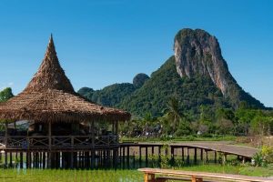 Từ Bangkok Đến Phatthalung: Chia sẻ kinh nghiệm du lịch và cách đặt vé giá rẻ, các phương tiện di chuyển đến các địa điểm du lịch đẹp ở Phatthalung