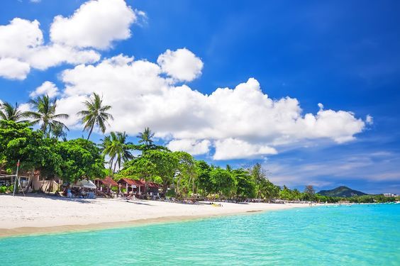 Cẩm nang du lịch tự túc ở Thái Lan, bật mí cách đi đến Koh Samui và bí kíp đặt vé đi đảo khởi hành từ Donsak siêu tiết kiệm.