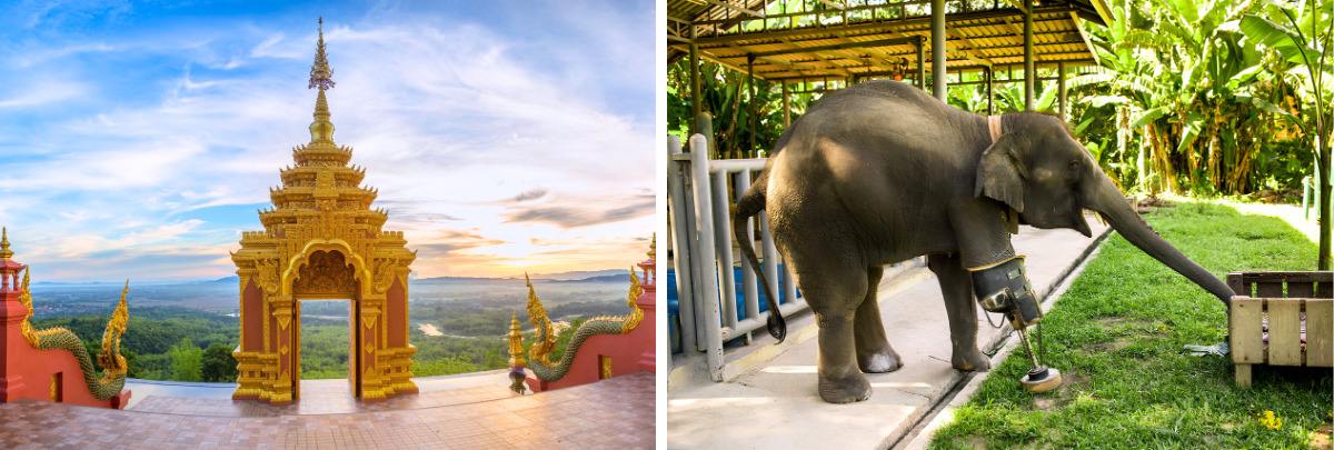Đi du lịch tự túc từ Bangkok đến Lampang: Kinh nghiệm đặt vé giá rẻ, phương tiện di chuyển an toàn, địa điểm nên ghé thăm,...
