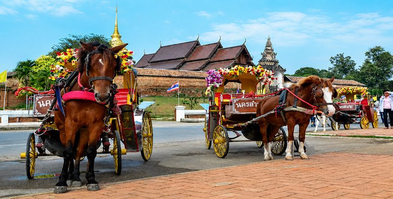 Kinh nghiệm đi du lịch tự túc từ Chiang Mai đến Lampang: Nên đặt vé giá rẻ ở đâu, lựa chọn phương tiện để đến các địa điểm đẹp,...
